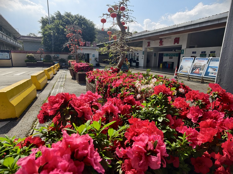 7a97ae62a857ff6640643ef13db2e1ae - 副本.jpg